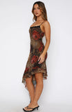 Should Know Better Midi Dress Exotic Rose